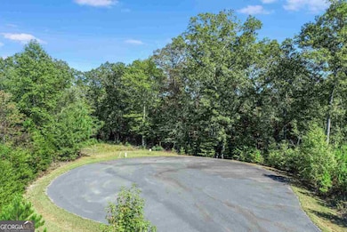 LOT 4 Olde Rockhouse Ln, Demorest, GA 30535 - photo 6