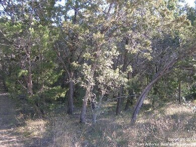 10716 Reyes Canyons, Helotes, TX 78023 - photo 6