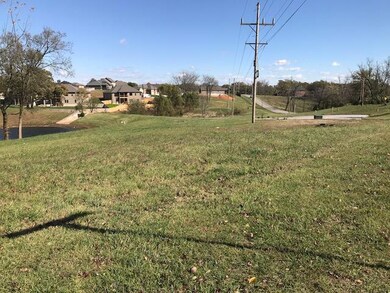 811 E Twin Maple Ct, Nixa, MO 65714 - photo 2