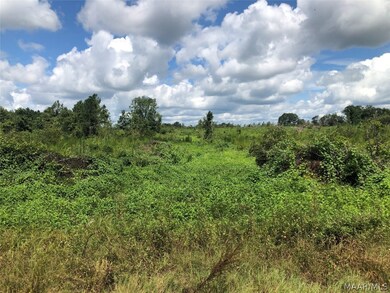 Plot B