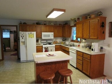 21717 243rd Ave, Long Prairie, MN 56347 - photo 4