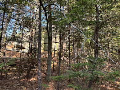 0 Main Rd, Phippsburg, ME 04562 - photo 5