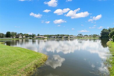 Spring-Fed Lake View