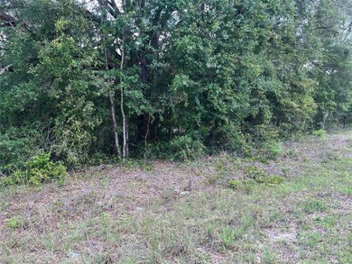 00 SW 108th St, Dunnellon, FL 34432 - photo 5