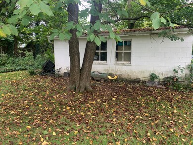 IMG-3108