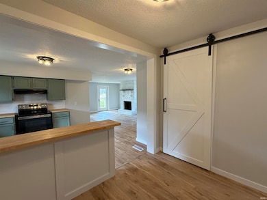 1107 N Lima Rd, Kendallville, IN 46755 - photo 3