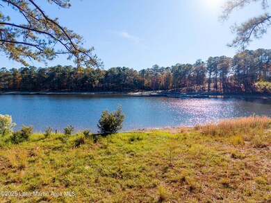 468 Luannes Way, Alexander City, AL 35010 - photo 4