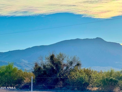 0 W unit 6951225, Aguila, AZ 85320 - photo 7