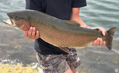 0 Monroe Mountain Rd, Monroe, UT 84754 - photo 5