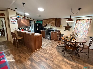 100 Osage Dr, Logan, NM 88426 - photo 7