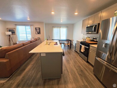 Kitchen with open floor plan, stainless steel appliances, gray cabinets, plenty of natural light, and recessed lighting
