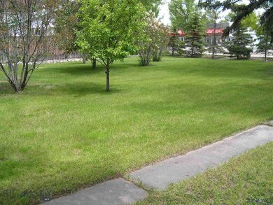 Front Lawn Area