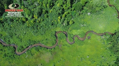 V L 56th Ave, Paw Paw, MI 49079 - photo 2