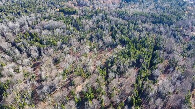Map 04 Lots #2-15 2-16 Yellow Birch Rd, Whiting, ME 04691 - photo 7