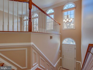 4635 Knight Place, Alexandria, VA 22311 - photo 4