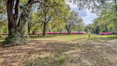 0 Norris Dr, Walterboro, SC 29475 - photo 2