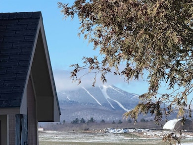 290 Tetreault Rd, Newport Center, VT 05857 - photo 4