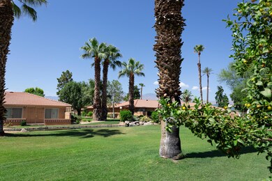 WaringWayIndio-47