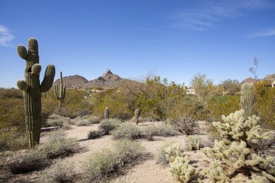 Lot views to Pinnacle Peak