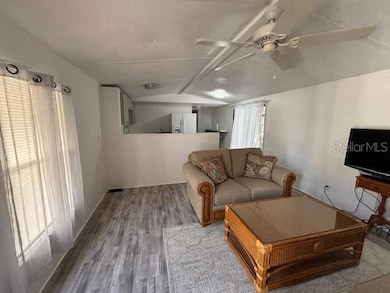 605 Sunnyside Dr, Wildwood, FL 34785 - photo 5