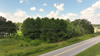 0 Highway 521 unit Lot A, Greeleyville, SC 29056 - photo 4