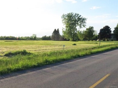 Roadfront