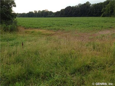 Land/Lot