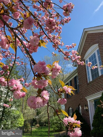 6 Pissaro Ct, North Potomac, MD 20878 - photo 7