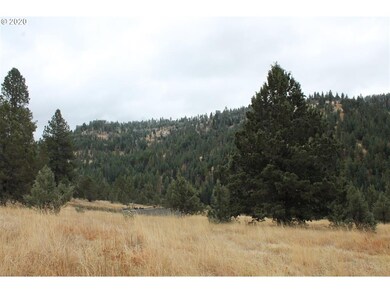 7 Running Buck Rd, Long Creek, OR 97856 - photo 6