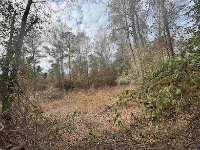 Parcel  A Wiggum Rd & St James Rd, Cochran, GA 31014 - photo 5