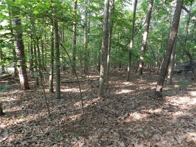 0 Rockridge Rd unit 1019218, Asheboro, NC 27205 - photo 3