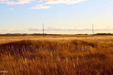IMG_0046 1