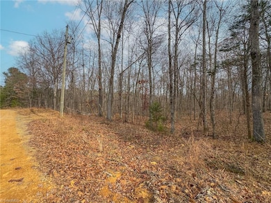 6124 Wild Horse Canyon Rd, Snow Camp, NC 27349 - photo 4