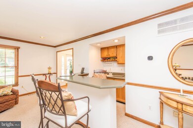 6011 Monroe Ave, Sykesville, MD 21784 - photo 5