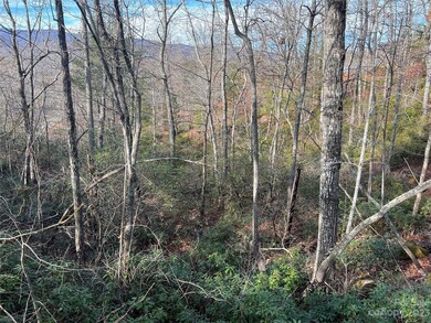 00 Dobsons Knob Loop Rd unit 32, Marion, NC 28752 - photo 3