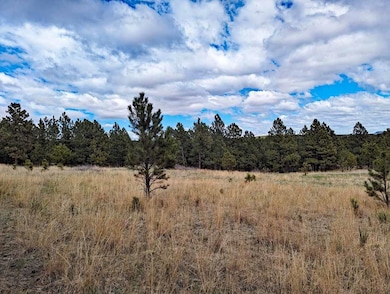 Lot 2 Argyle Ridge Ct, Hot Springs, SD 57747 - photo 4