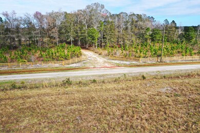 0 Countree Life Way unit 1034074, Callahan, FL 32011 - photo 6