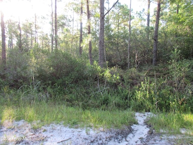 1300 Beech Rd, Boiling Spring Lakes, NC 28461 - photo 3