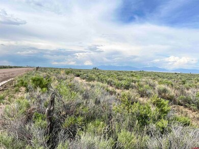 2477 County Road 111 S, Alamosa, CO 81101 - photo 7