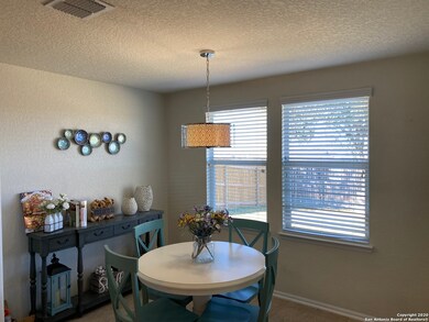 22019 Tower Terrace, San Antonio, TX 78259 - photo 6