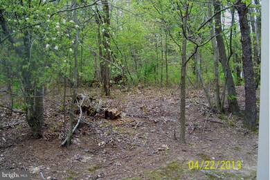 7810 Clark Rd unit A46, Jessup, MD 20794 - photo 6