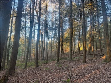 0 Thorpe Hill Rd, Masonville, NY 13838 - photo 3