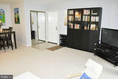 53 Skyhill Rd unit 201, Alexandria, VA 22314 - photo 5