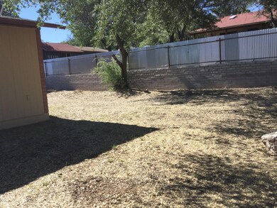 Fenced Yard