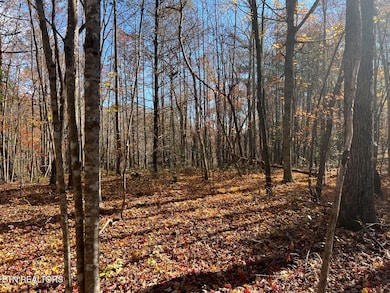 523 Honey Creek Loop Rd, Allardt, TN 38504 - photo 7