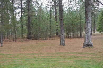 365 Hogans Way, Chewelah, WA 99109 - photo 7