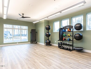 287 Aspen Ave, Pittsboro, NC 27312 - photo 7