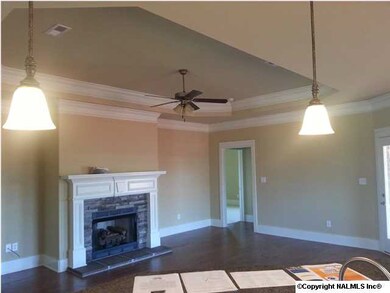 Large open family room, with trey ceiling, double crown, fan and 5