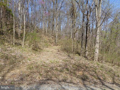 0 Little Long Rd unit 1000406659, Bentonville, VA 22610 - photo 4