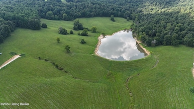 DJI_20240805153852_0068_D (Large)